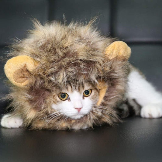 Cat Wigs Lion Mane Wig with Ears- Fancy Costume Hair Lion Hat for Halloween and Cosplay Party (S)