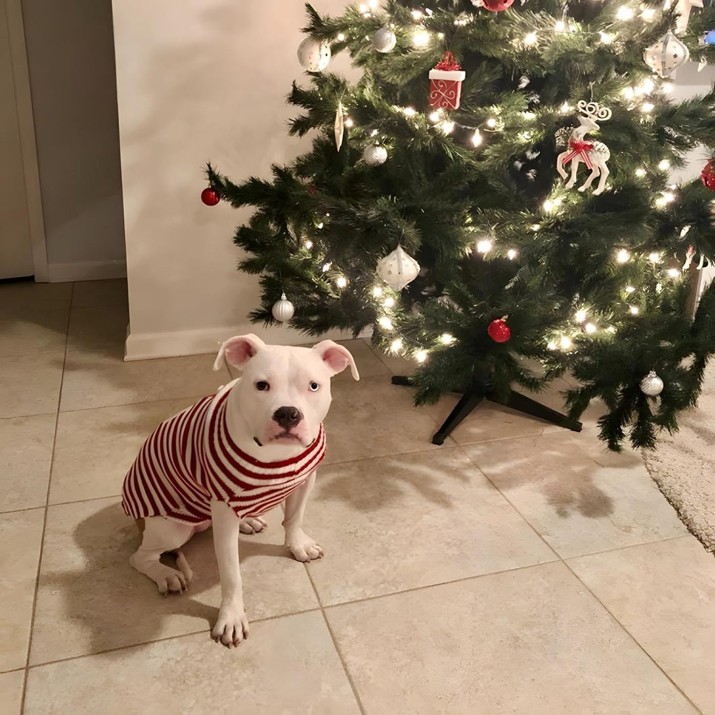 Santa Claus Pet Sweater Dog Sweaters Cold Weather Outfit for Small to Medium Sized Dogs and Cats for Christmas Day (Santa Claus, X-Small)