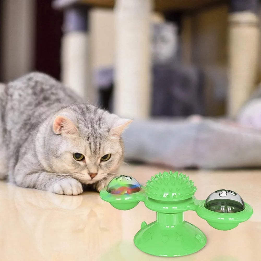 Cat Toys