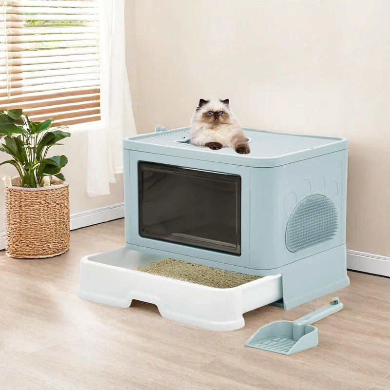 Cat Waste Management