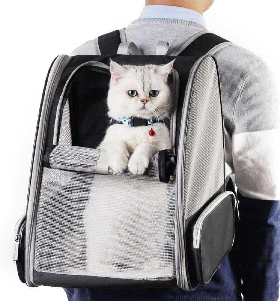 Carriers for Cats