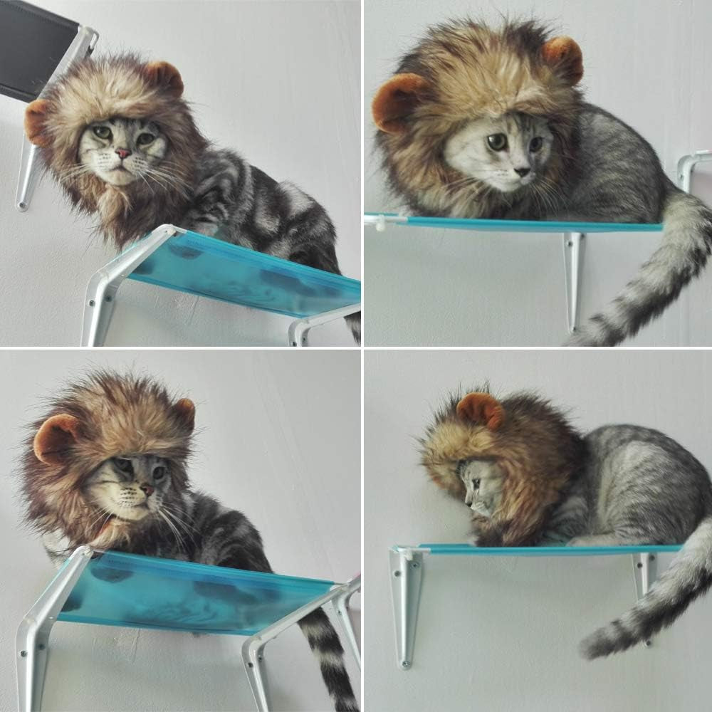 Cat Wigs Lion Mane Wig with Ears- Fancy Costume Hair Lion Hat for Halloween and Cosplay Party (S)