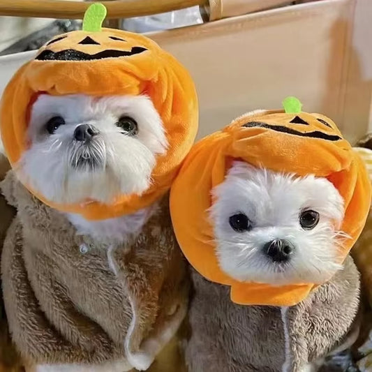 Cute Pet Hat Halloween Pumpkin Pet Dog Cat Hat Dress up Headdress Small Dog Cat Cosplay Costume Decorative Hat Pet Accessoires