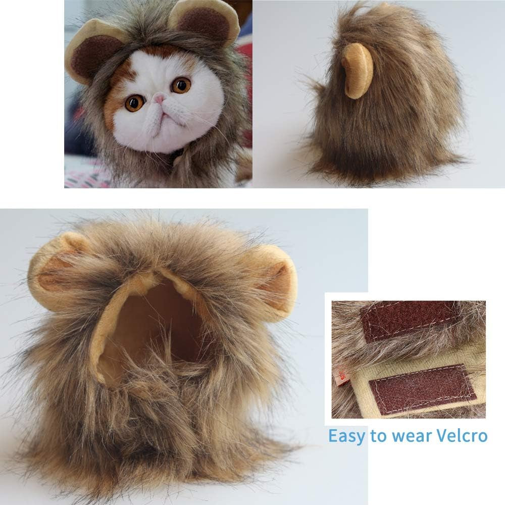 Cat Wigs Lion Mane Wig with Ears- Fancy Costume Hair Lion Hat for Halloween and Cosplay Party (S)