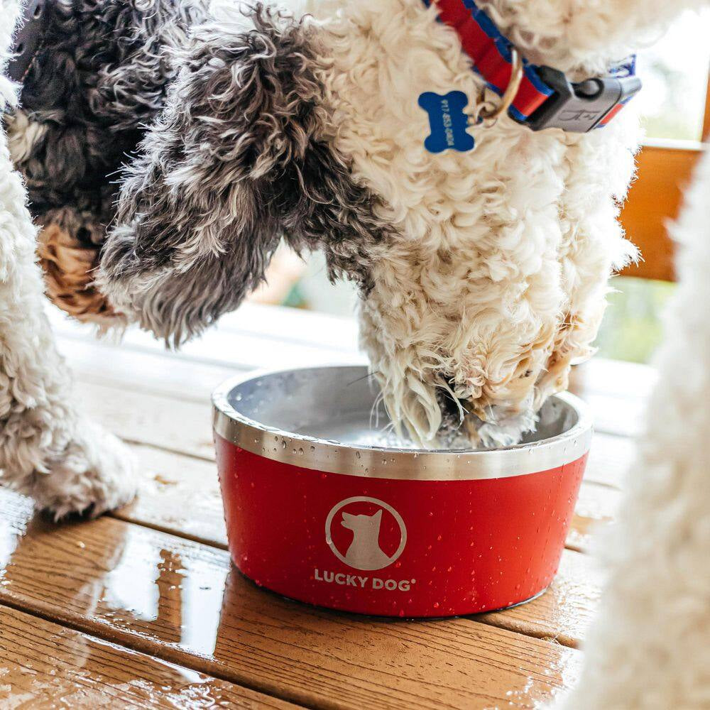 Indulge 100 Oz. 12.5 Cup Double Wall Stainless Steel Dog Bowl, Non Slip, Lifetime Warranty in Red