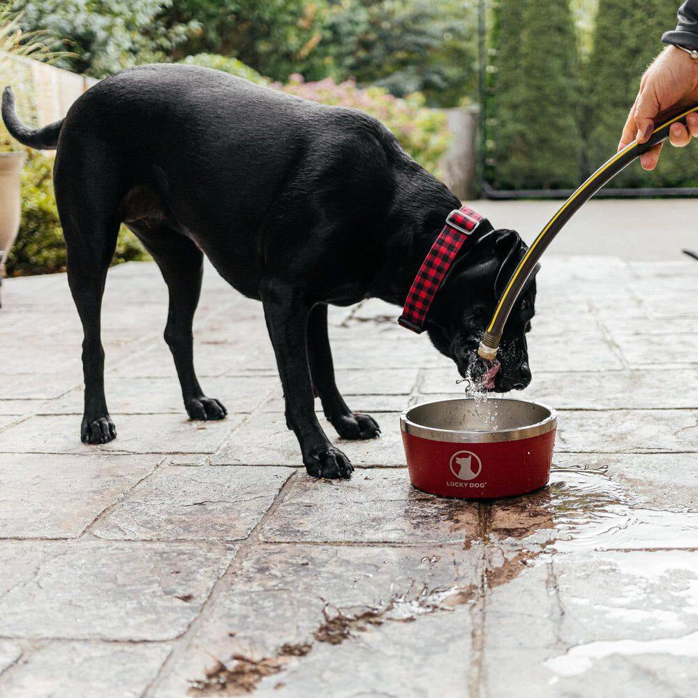 Indulge 100 Oz. 12.5 Cup Double Wall Stainless Steel Dog Bowl, Non Slip, Lifetime Warranty in Red