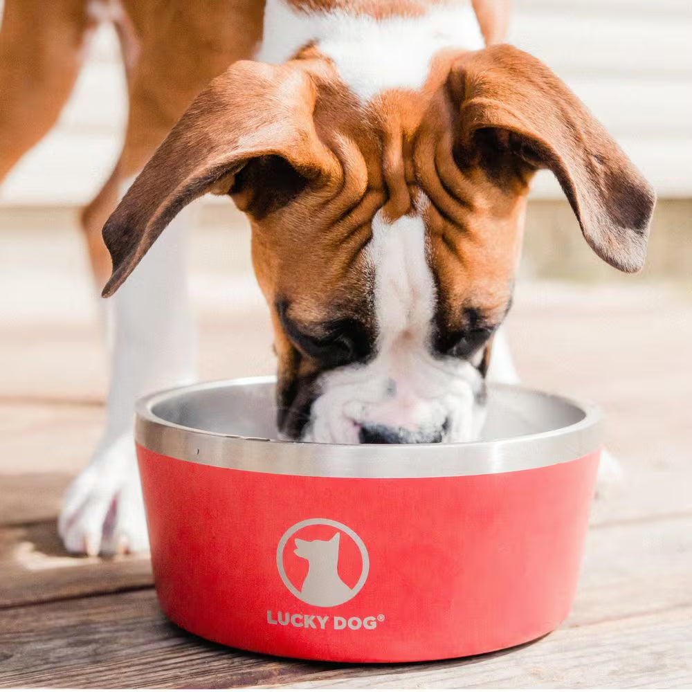 INDULGE 64 Oz. 8 Cup Double Wall Stainless Steel Dog Bowl, Non Slip, Lifetime Warranty in Red