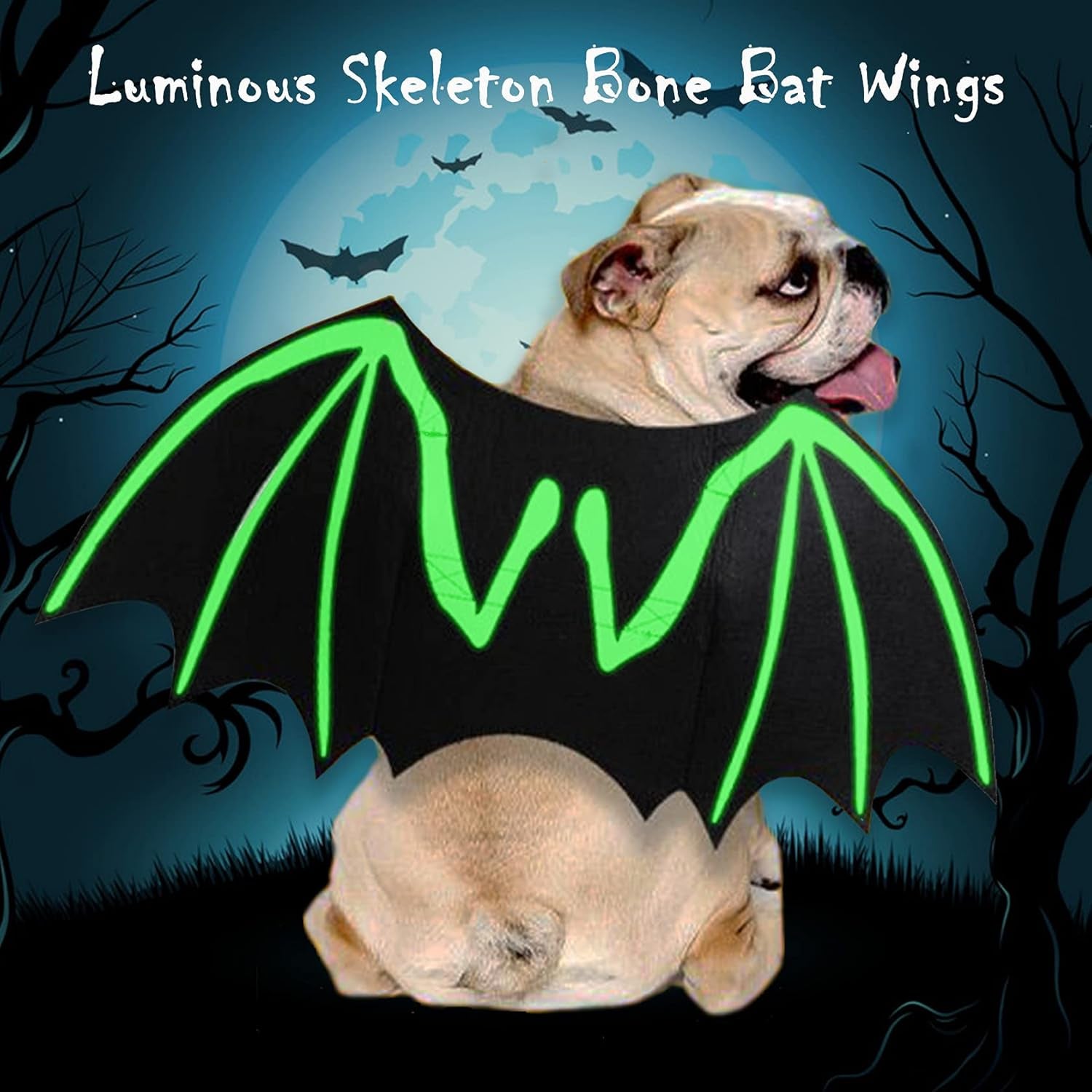 Dog Halloween Costumes, Cool Luminous Skeleton Bone Bat Wings Cosplay Cat Pets Costumes Dress up Apparel Accessories for Kitten Puppies, S