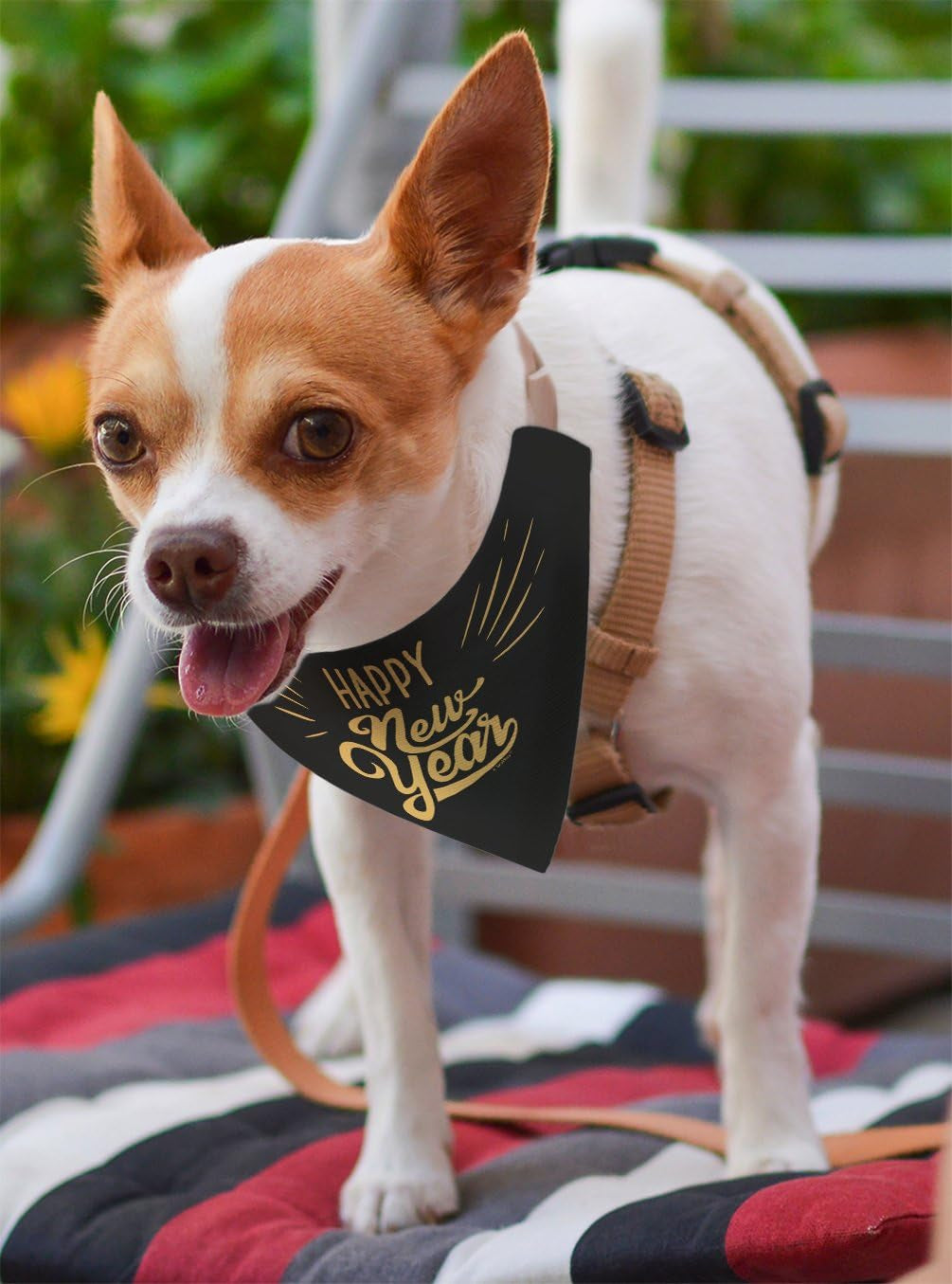 Dog New Years Costume Happy New Year Outfit for Dogs Pet Collar Scarf for Smaller Dogs New Year