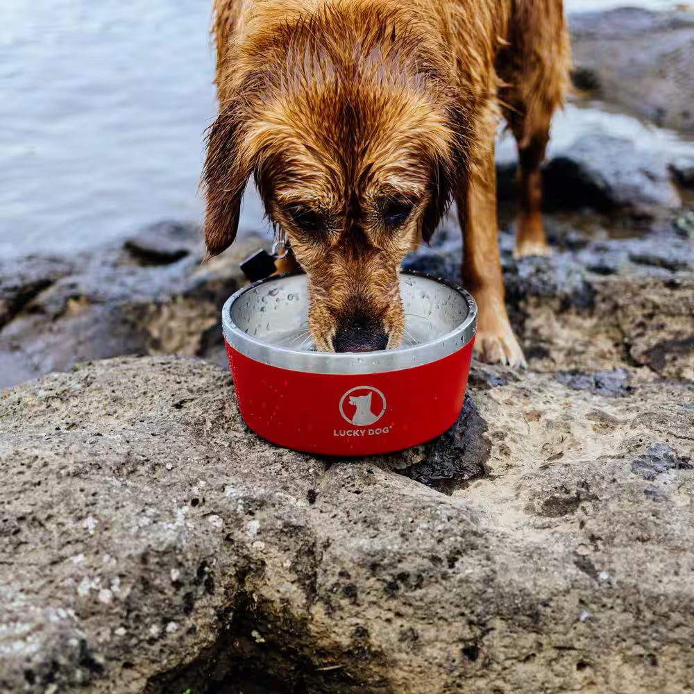 INDULGE 64 Oz. 8 Cup Double Wall Stainless Steel Dog Bowl, Non Slip, Lifetime Warranty in Red