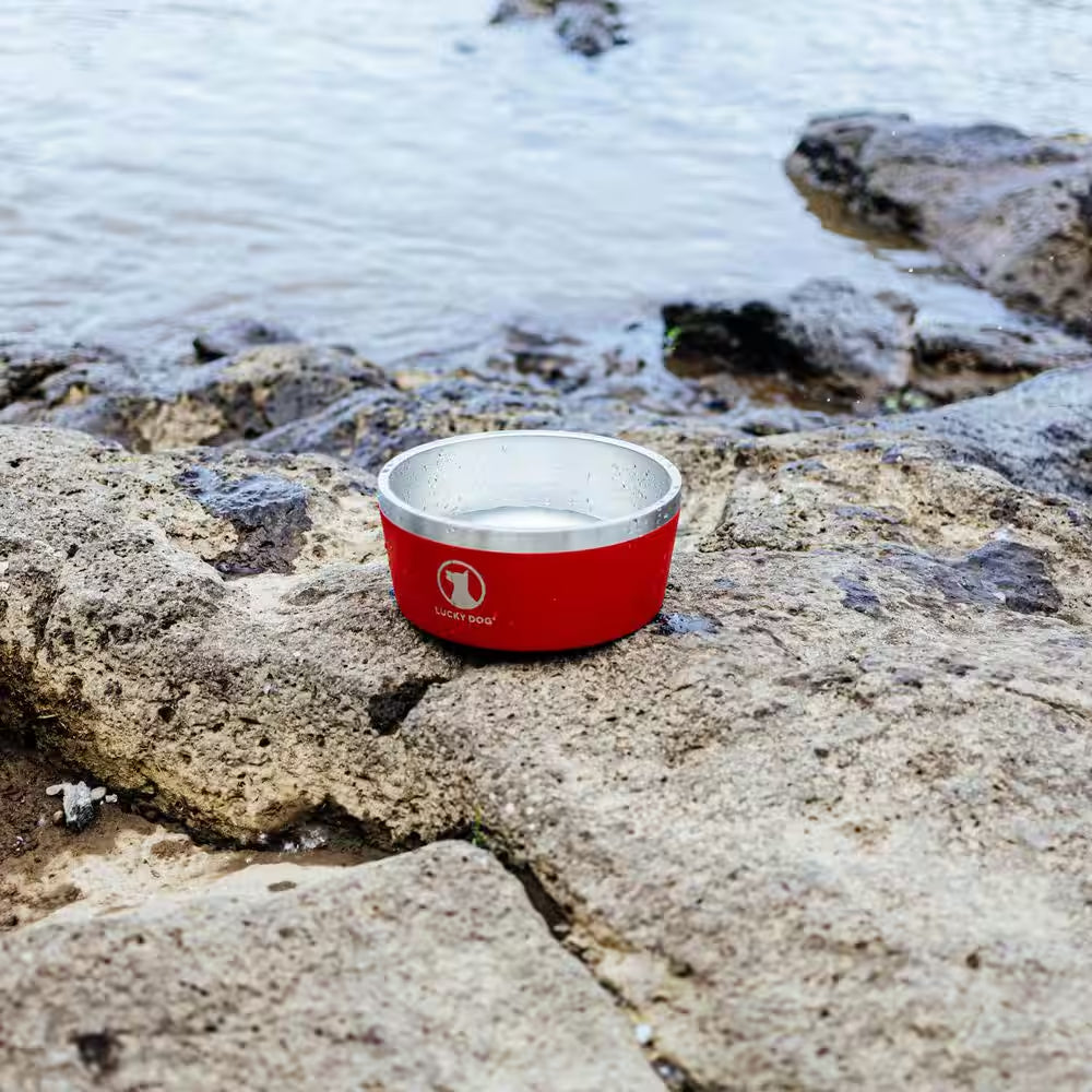 INDULGE 40 Oz. 5 Cup Double Wall Stainless Steel Dog Bowl to Non Slip to Lifetime Warranty in Red