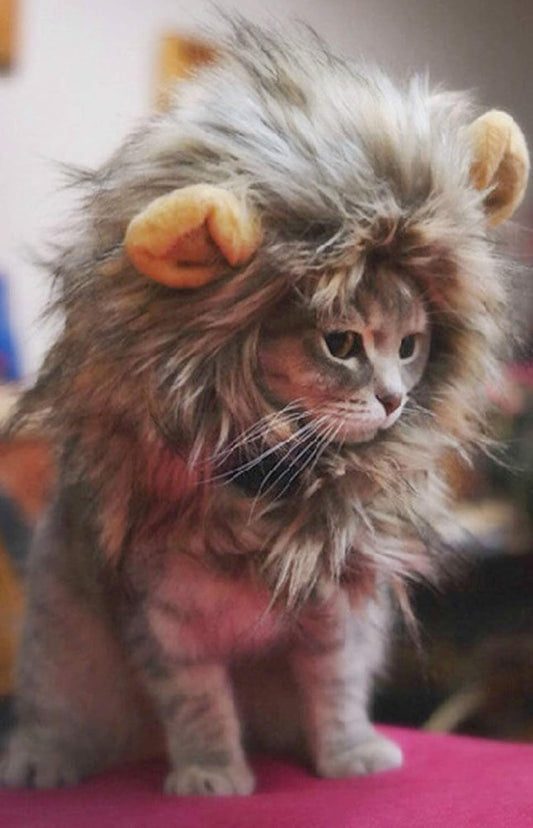 Cat Wigs Lion Mane Wig with Ears- Fancy Costume Hair Lion Hat for Halloween and Cosplay Party (S)