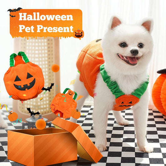 Funny Pumpkin Dog Halloween Costume Pet Dog Cat Thick Plush Pumpkin Decoration Shirt Clothes for Small Medium Dogs Cats Puppy Cute Halloween Party Cosplay Dress up Outfits