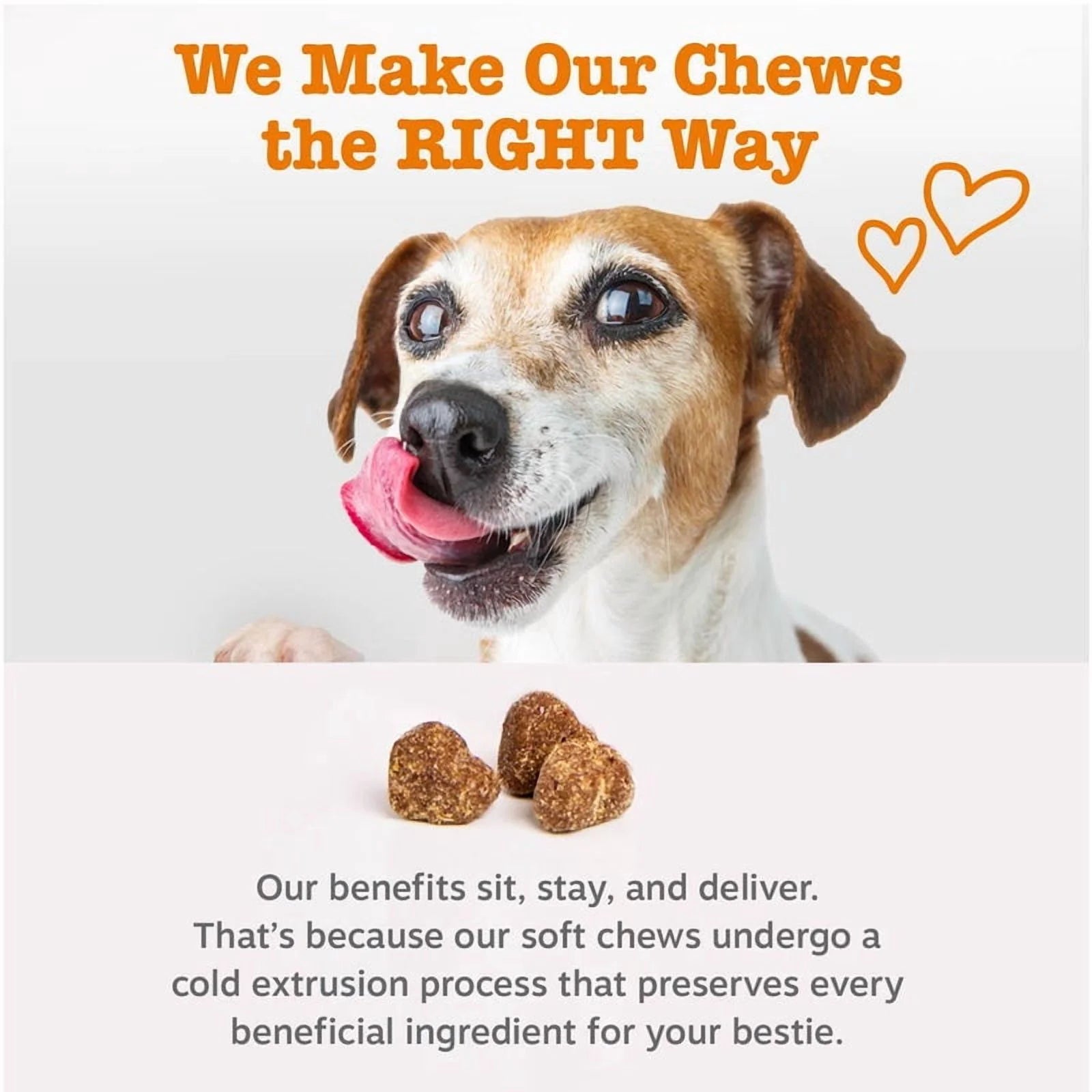 Senior Advanced Probiotic Bites for Dogs, for Gut & Digestive Health, Chicken Flavor 90 Ct Soft Chews