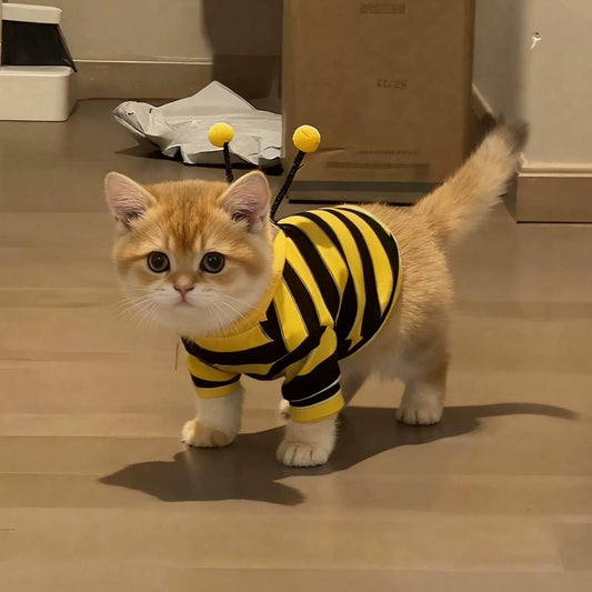 Bee Cat Onesie - Adorable Bee Design Minimalist Four-Leg Outfit for Cats & Dogs Comfortable Fit High Elasticity Medium-Thick Material