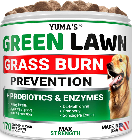 Green Lawn Chews for Dogs Probiotics and Digestive Enzymes Supplement Gut
