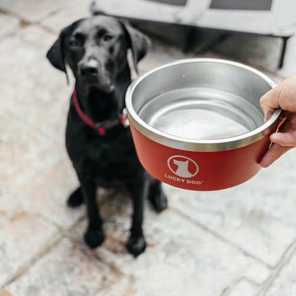 Indulge 100 Oz. 12.5 Cup Double Wall Stainless Steel Dog Bowl, Non Slip, Lifetime Warranty in Red