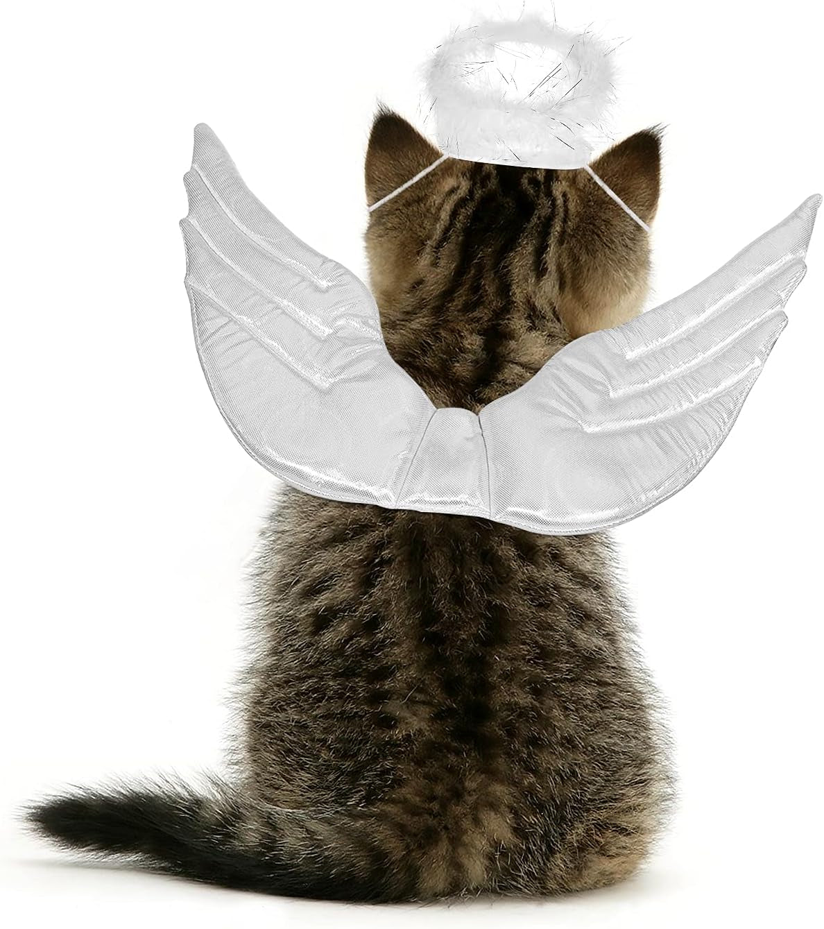 Pet Dog Cat Halloween Costume Angel Wings Shape Clothing - Creative Pet Cat Makeover Clothes for Halloween Festival Party Special Events - Pet Clothes Supplies - Size S (White)