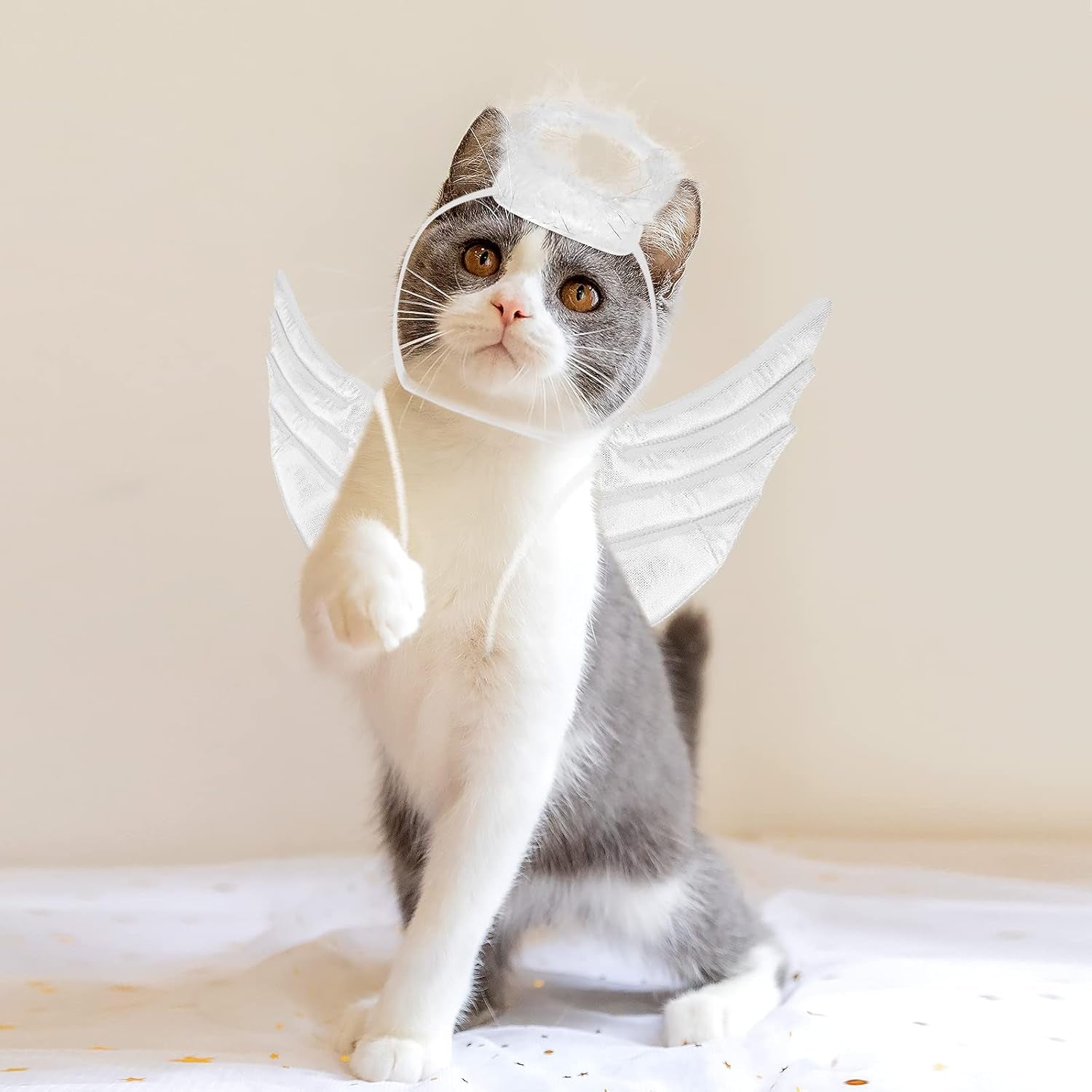 Pet Dog Cat Halloween Costume Angel Wings Shape Clothing - Creative Pet Cat Makeover Clothes for Halloween Festival Party Special Events - Pet Clothes Supplies - Size S (White)
