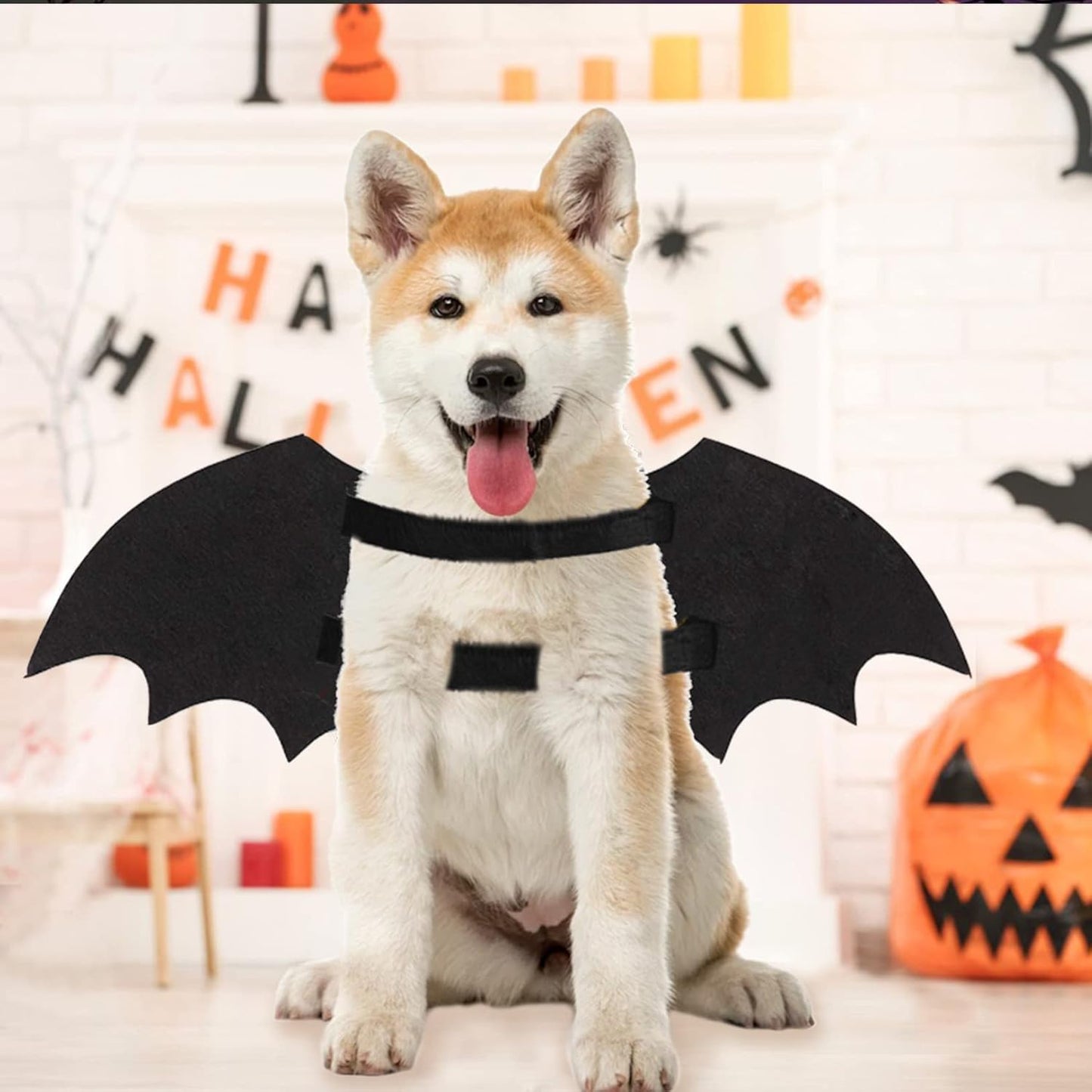 Dog Halloween Costumes, Cool Luminous Skeleton Bone Bat Wings Cosplay Cat Pets Costumes Dress up Apparel Accessories for Kitten Puppies, S