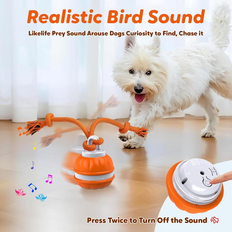 Lovely Caves Interactive Dog Ball Toys with Rope