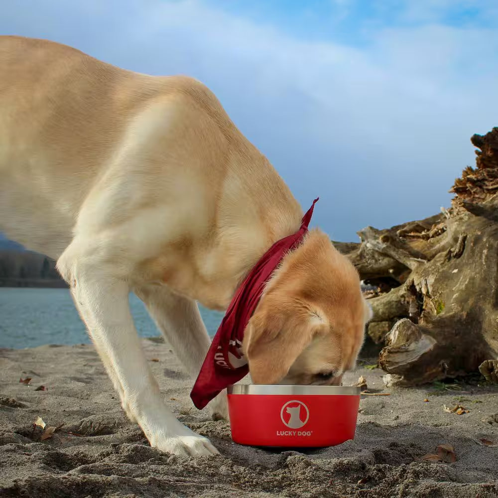INDULGE 40 Oz. 5 Cup Double Wall Stainless Steel Dog Bowl to Non Slip to Lifetime Warranty in Red