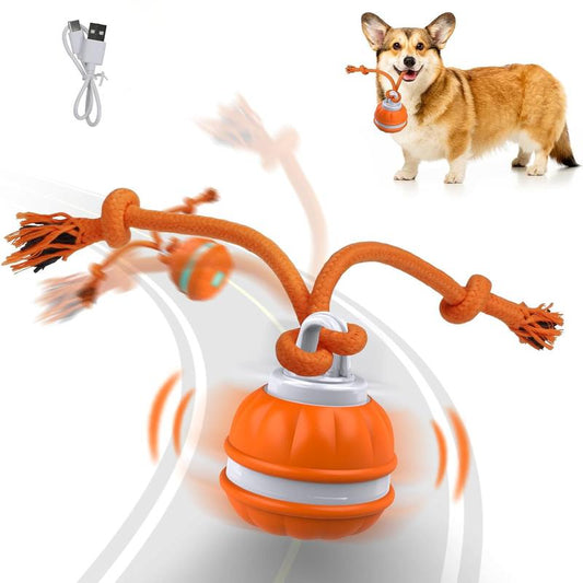 Lovely Caves Interactive Dog Ball Toys with Rope