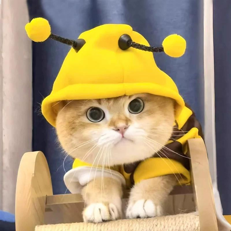 Bee Cat Onesie - Adorable Bee Design Minimalist Four-Leg Outfit for Cats & Dogs Comfortable Fit High Elasticity Medium-Thick Material