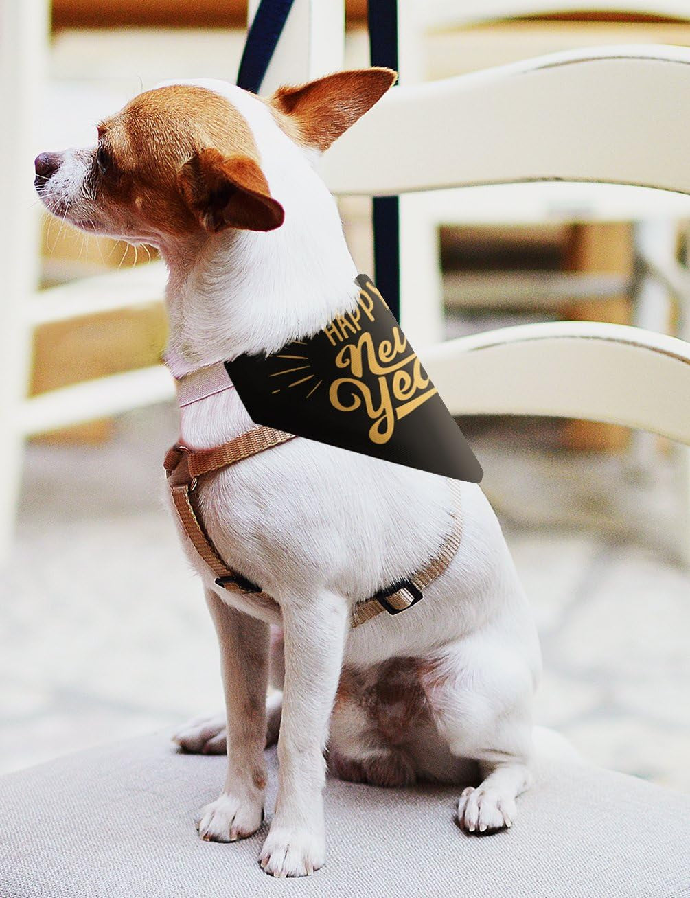 Dog New Years Costume Happy New Year Outfit for Dogs Pet Collar Scarf for Smaller Dogs New Year