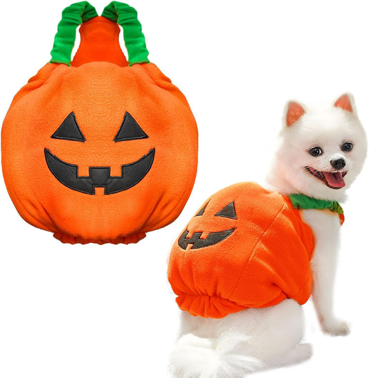 Funny Pumpkin Dog Halloween Costume Pet Dog Cat Thick Plush Pumpkin Decoration Shirt Clothes for Small Medium Dogs Cats Puppy Cute Halloween Party Cosplay Dress up Outfits