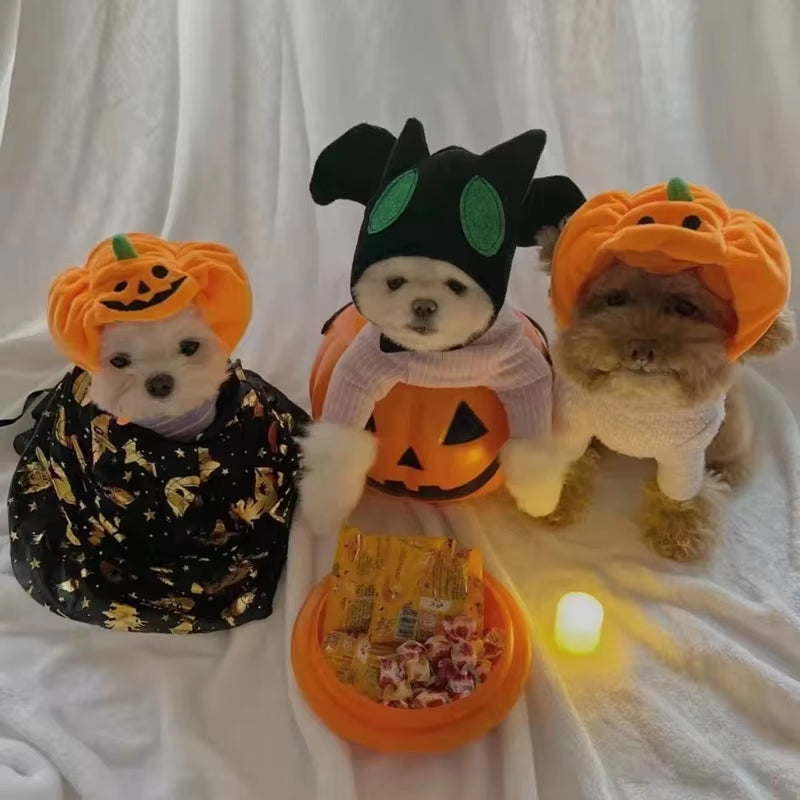 Cute Pet Hat Halloween Pumpkin Pet Dog Cat Hat Dress up Headdress Small Dog Cat Cosplay Costume Decorative Hat Pet Accessoires