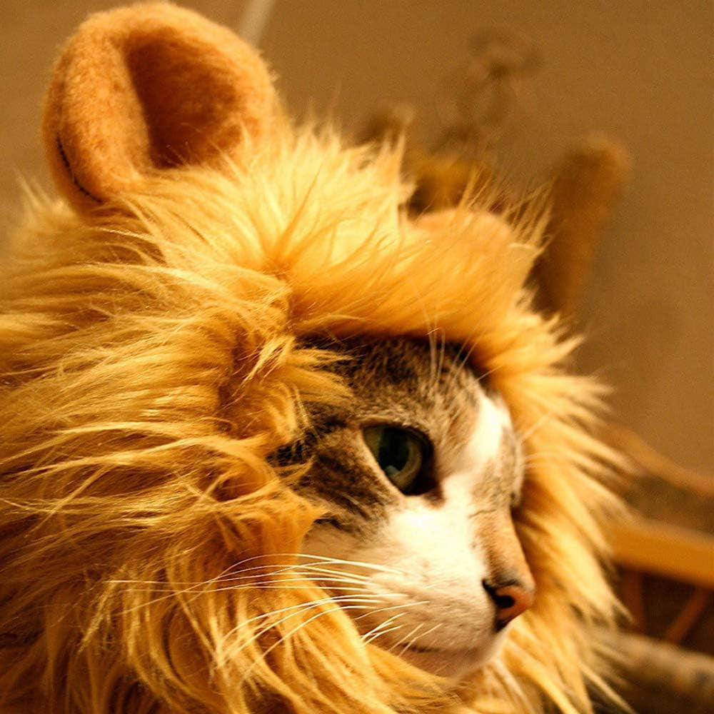 Cat Wigs Lion Mane Wig with Ears- Fancy Costume Hair Lion Hat for Halloween and Cosplay Party (S)