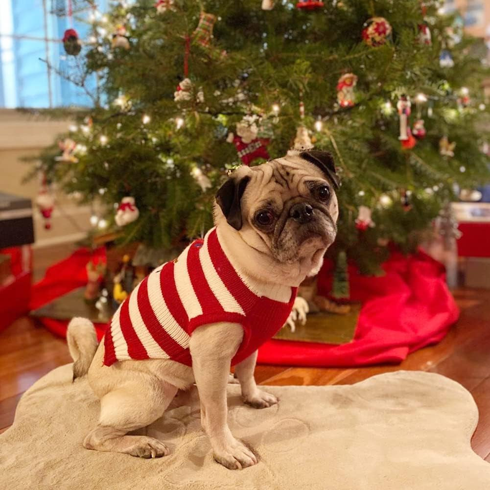 Dog Sweater Pet Christmas Elk Bells Sweaters Halloween Reindeer for Small Dog and Cat (L, Red)