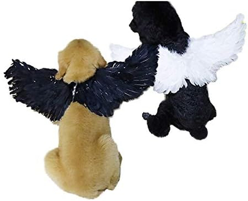Pet Halloween Costume Cosplay Angel Devil Black White Wing for Dog Cat Rabbit Piggy - Funny Gift at Halloween Party Anime Theme Birthday Christmas (Black, Small)