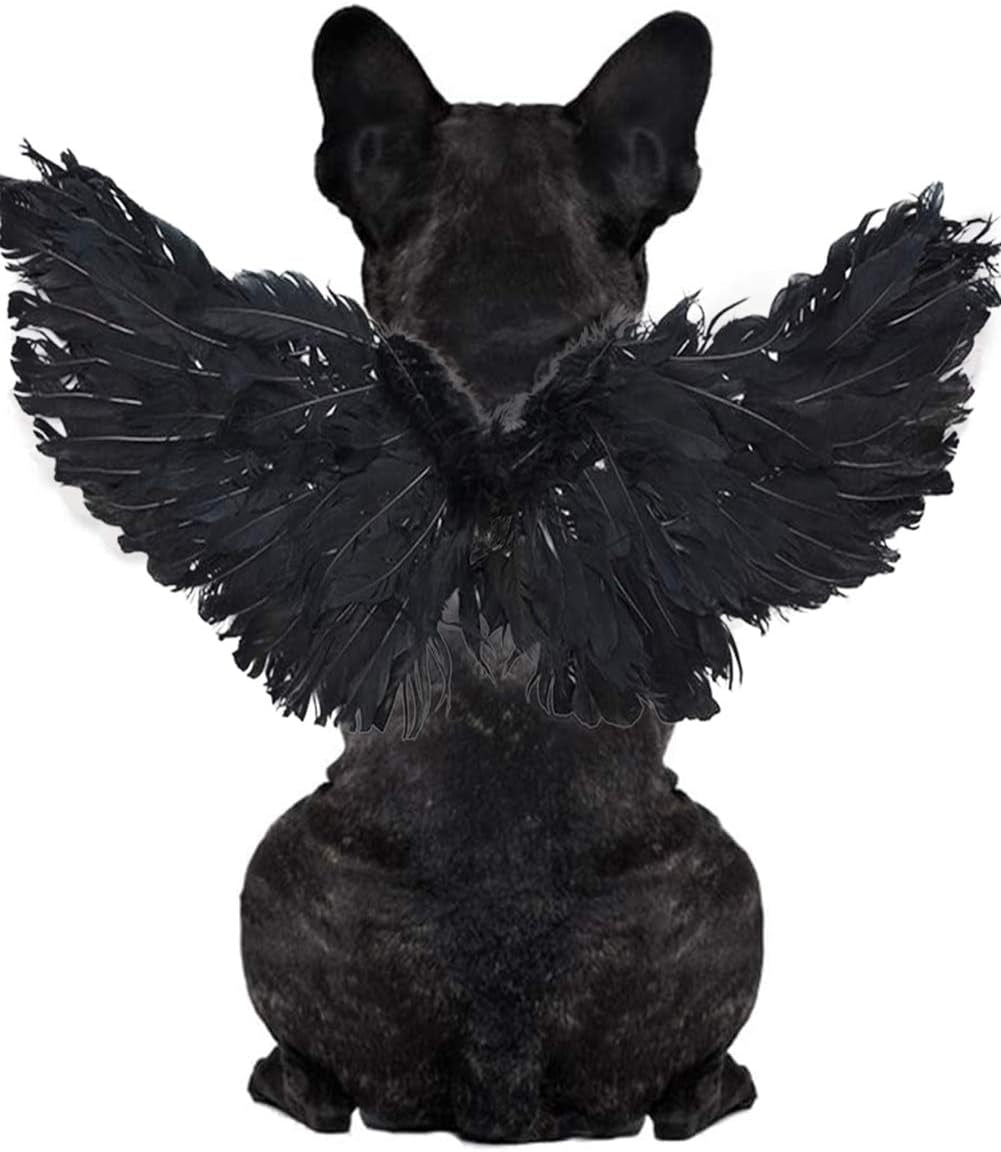 Pet Halloween Costume Cosplay Angel Devil Black White Wing for Dog Cat Rabbit Piggy - Funny Gift at Halloween Party Anime Theme Birthday Christmas (Black, Small)
