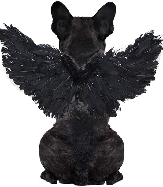 Pet Halloween Costume Cosplay Angel Devil Black White Wing for Dog Cat Rabbit Piggy - Funny Gift at Halloween Party Anime Theme Birthday Christmas (Black, Small)