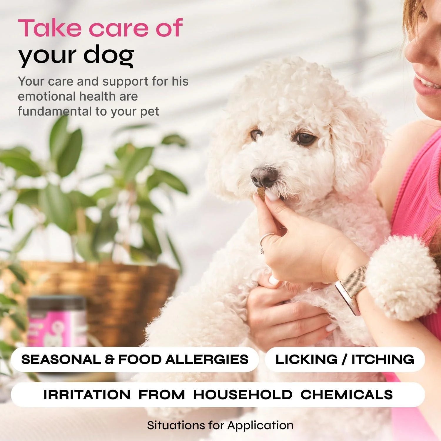 Dog Allergy Relief Chews Dog Itching Skin Relief anti Itch for Dogs Dog Itch