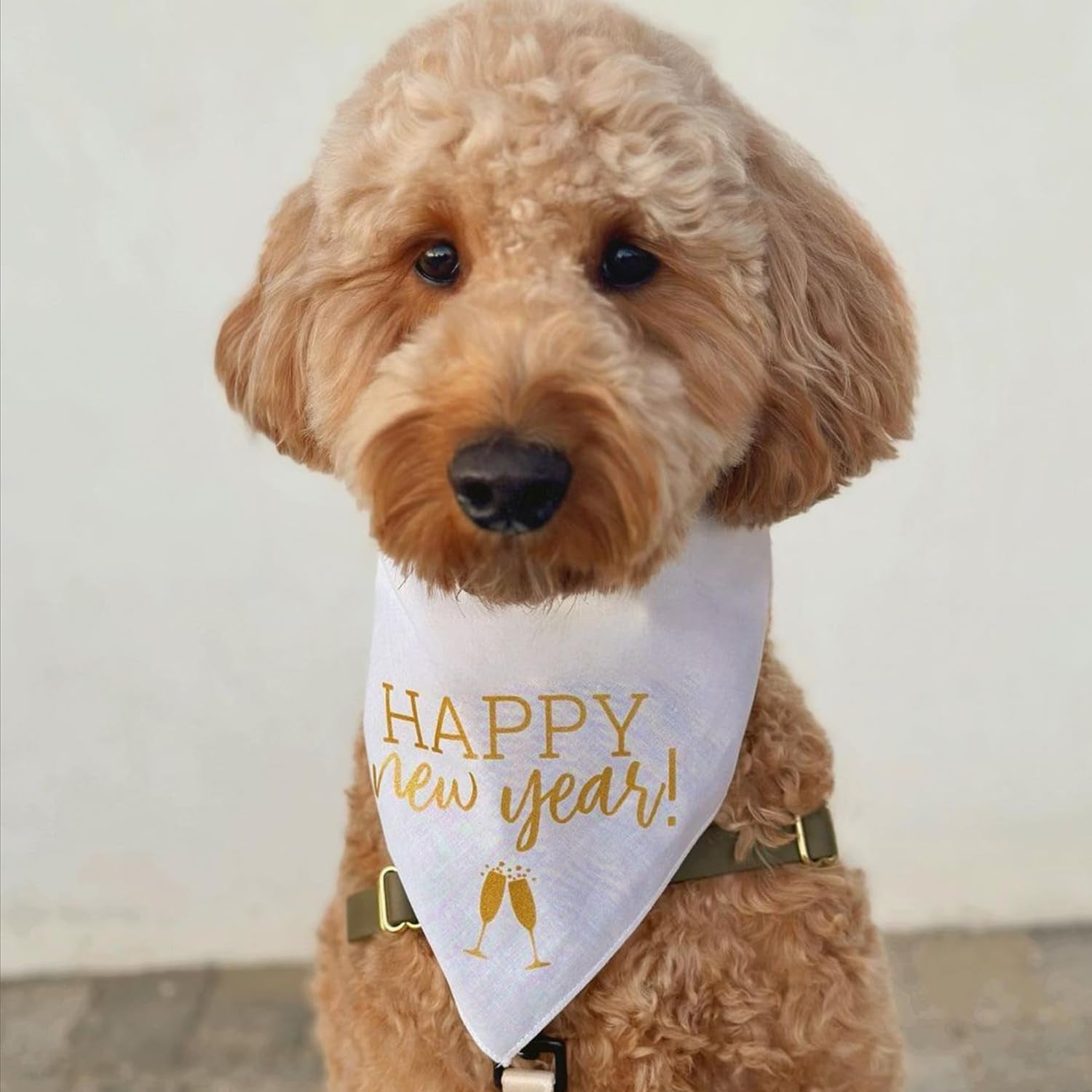 Happy New Year Dog Bandana | 100% Cotton Adjustable Triangle | Made in USA | New Year'S Eve | Celebration | Cheers to 2026 |Black, One Size (195)